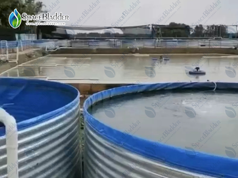 Customized Fish Farming Tank From Clients Feedback