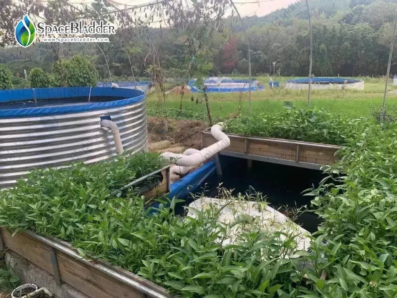 Customized Fish Farming Tank From Clients Feedback - customer case image 3