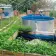 Customized Fish Farming Tank From Clients Feedback - customer case thumbnail 4